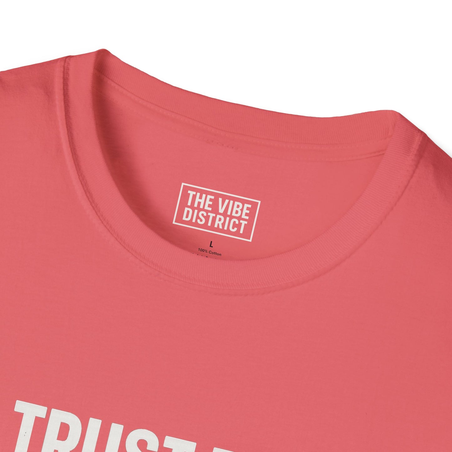 Trust the Vibes Unisex Softstyle T-Shirt, Empowering Graphic Tee, Casual Wear, Gift for Friends, Everyday Comfort
