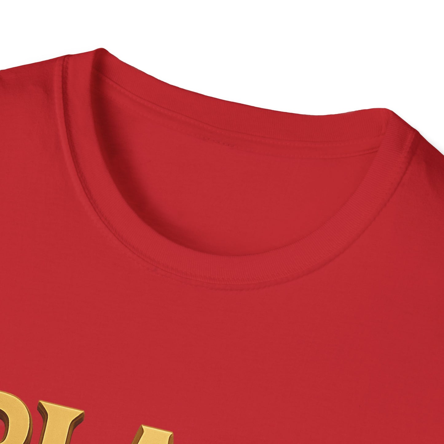 Black Excellence Pride Tee