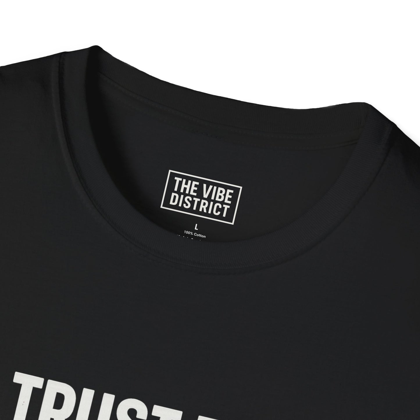 Trust the Vibes Unisex Softstyle T-Shirt, Empowering Graphic Tee, Casual Wear, Gift for Friends, Everyday Comfort